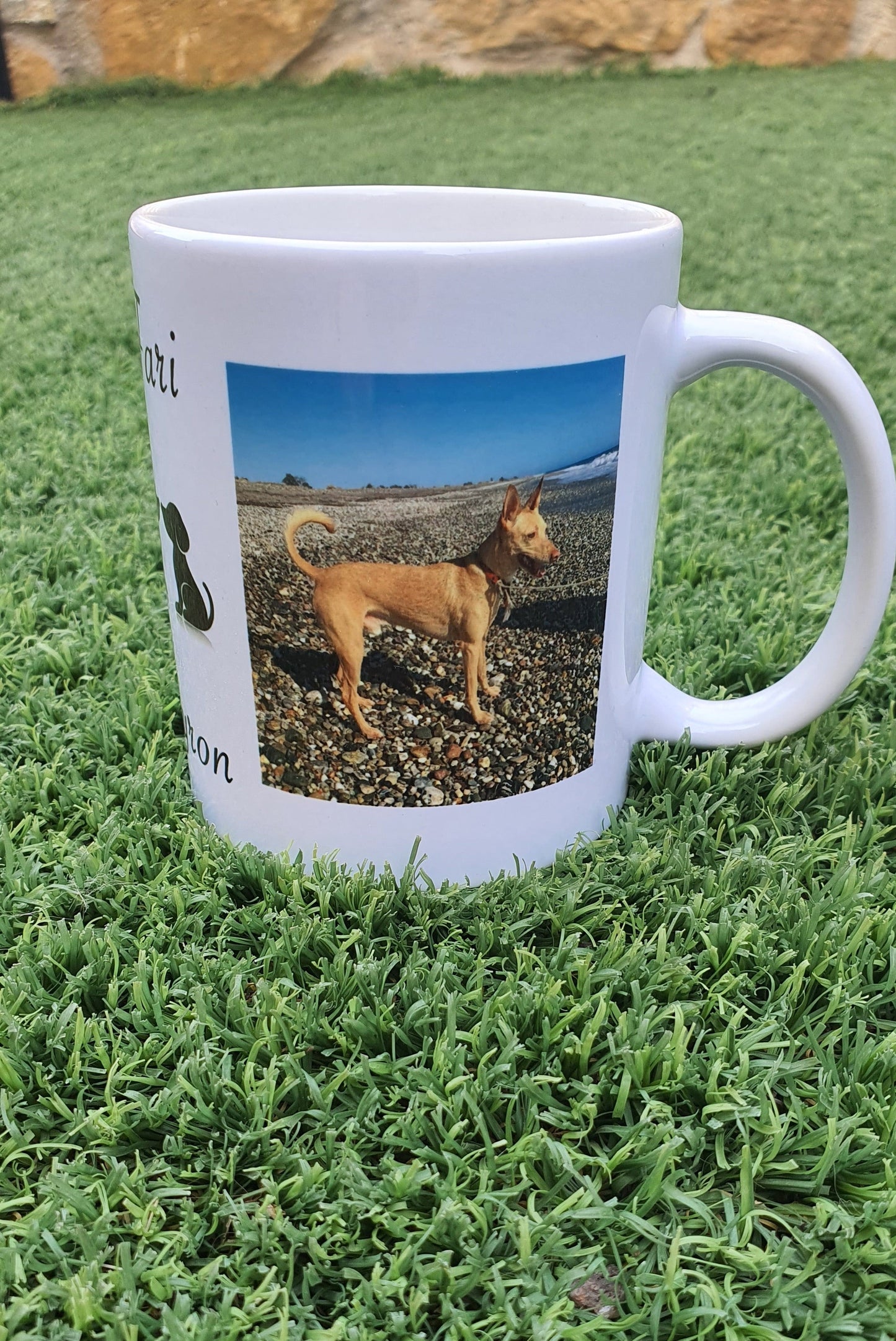 Taza con tu mascota