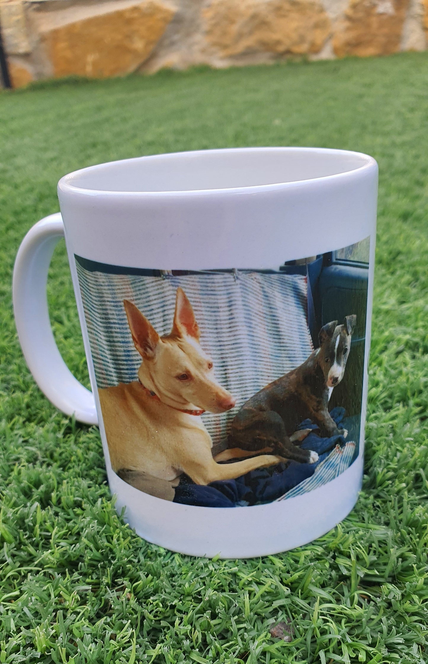 Taza con tu mascota